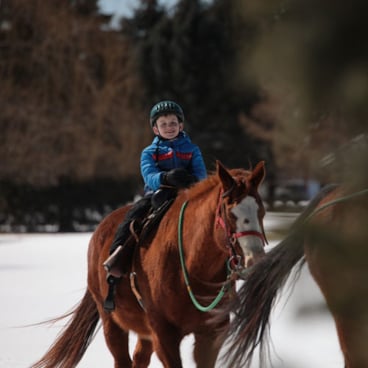 Horseback Rides at Boyne Mountain Resort winter 