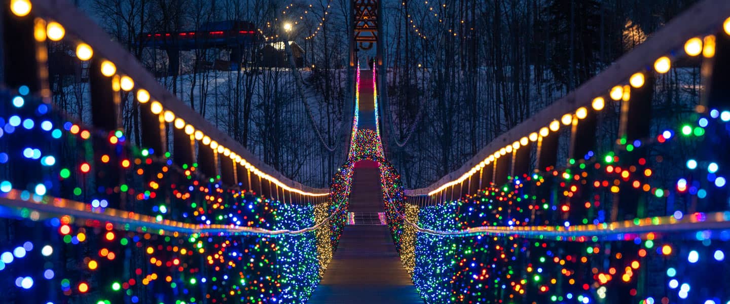 Lights in the Sky at SkyBridge Michigan