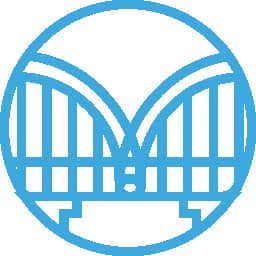 SkyBridge Icon