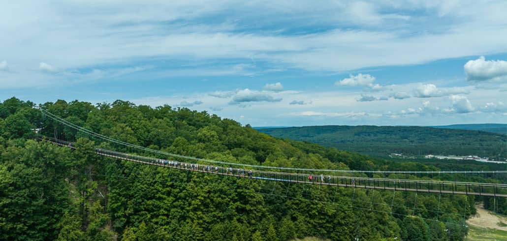 SkyBridge Michigan