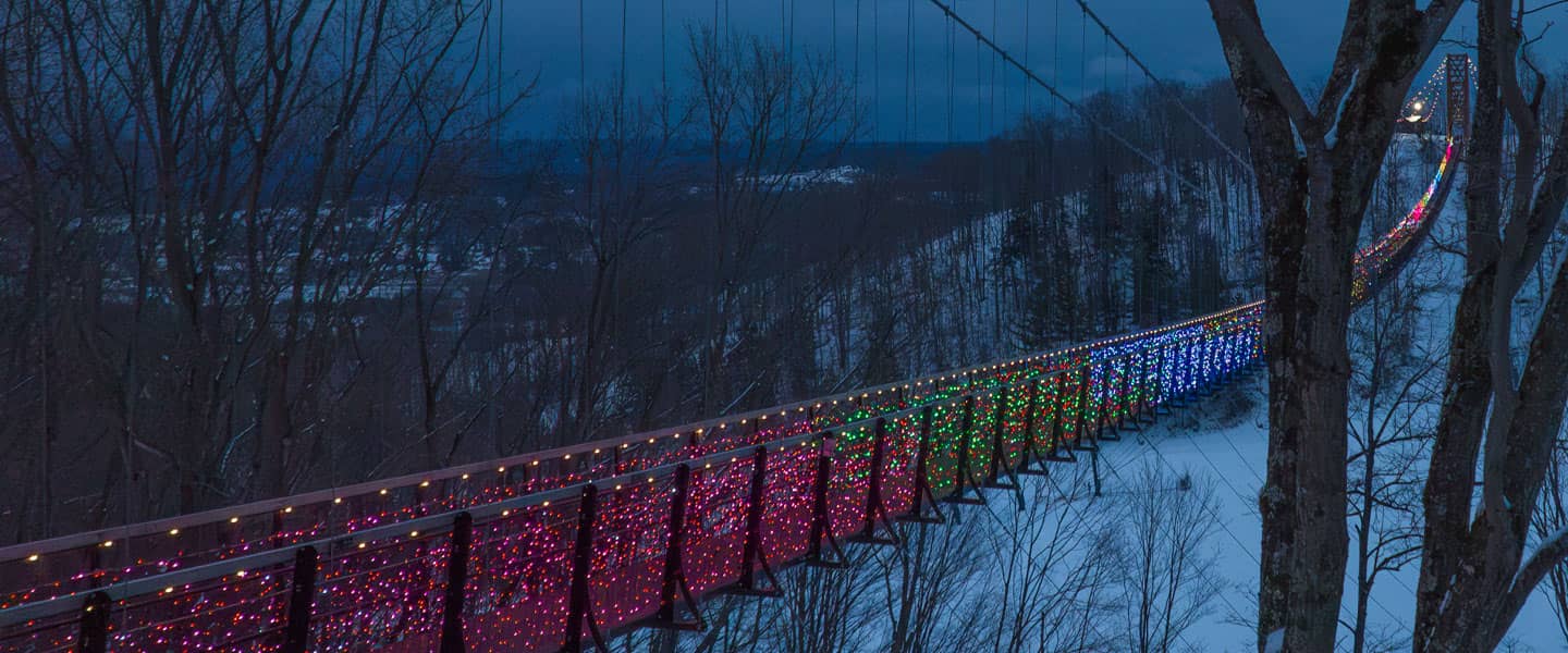 Lights in the Sky at SkyBridge Michigan