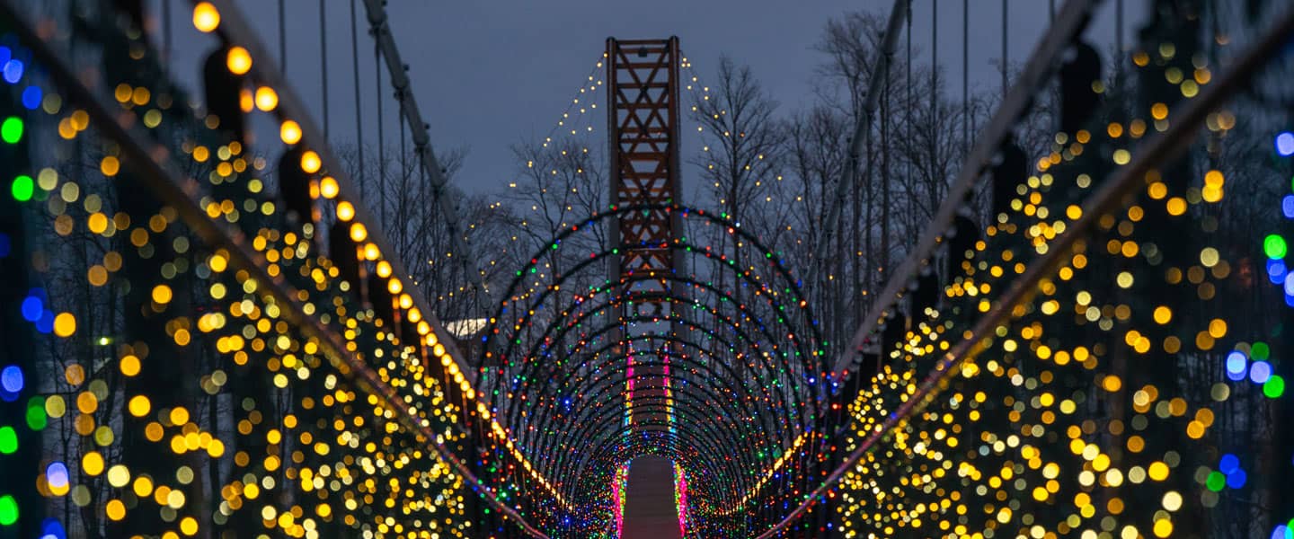 Lights in the Sky at SkyBridge Michigan